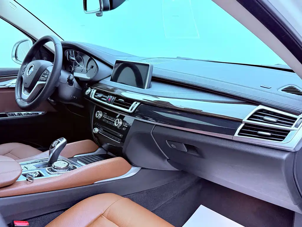 BMW X6 — миниатюра 25