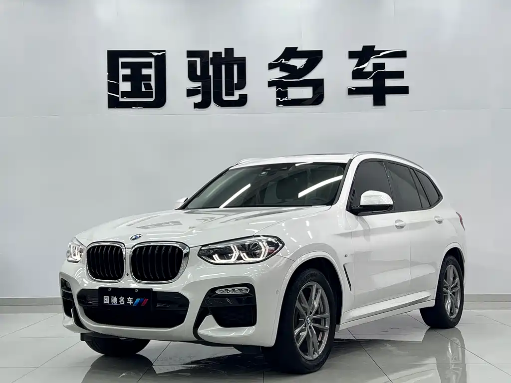 BMW X3 2018 xDrive25i M Sport VI