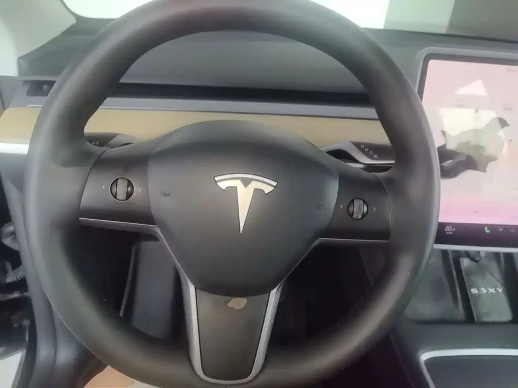 Tesla Model Y — миниатюра 11