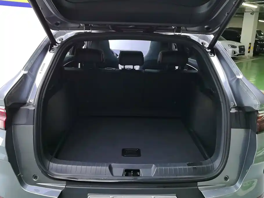 BYD PLUS New Energy — миниатюра 4