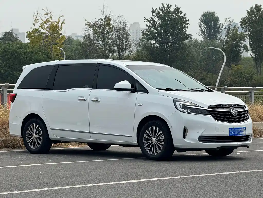 Buick GL8 — миниатюра 3