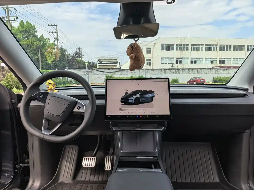 Tesla Model Y — миниатюра 9
