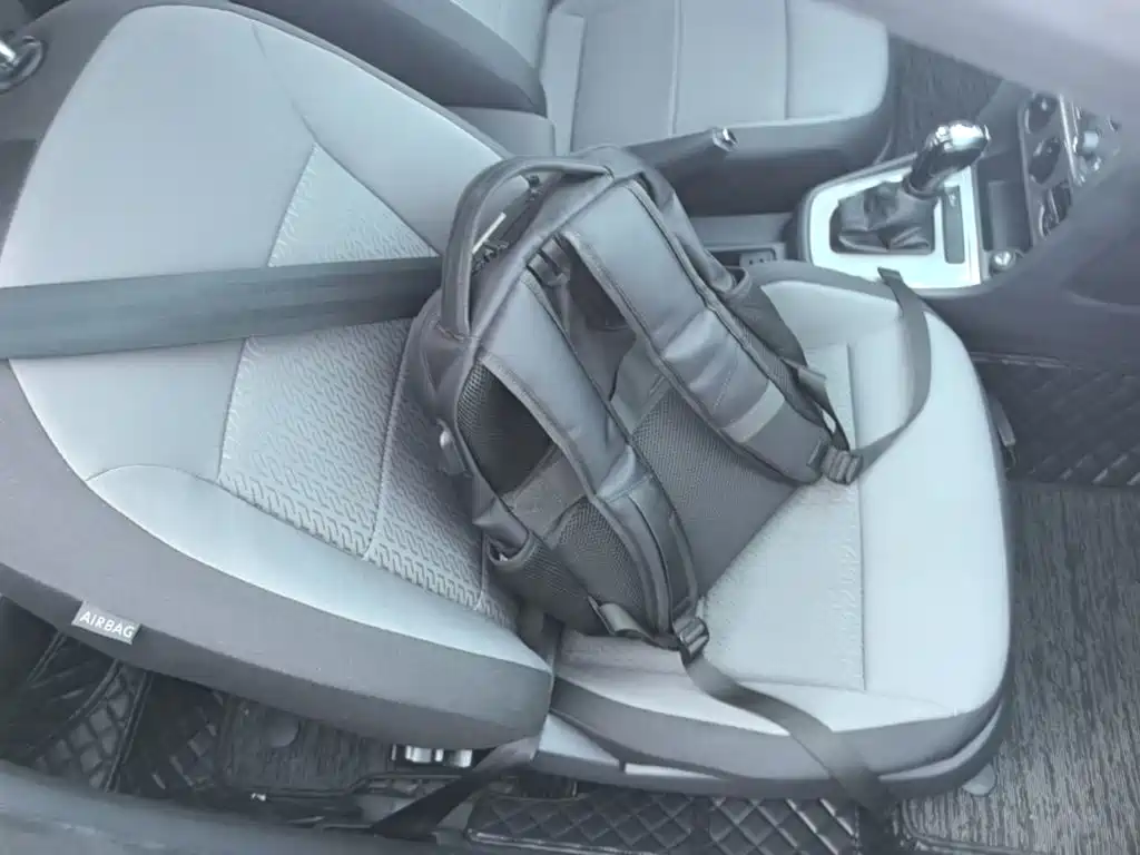 Volkswagen Gran Lavida — миниатюра 25