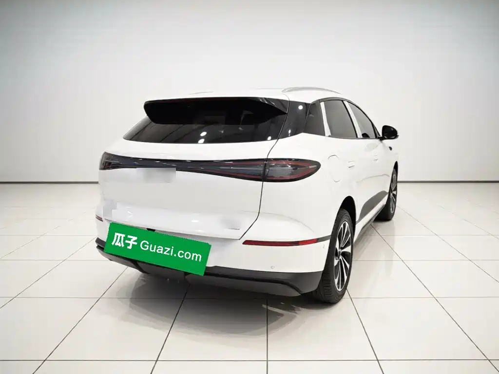 BYD Sealion 06 — миниатюра 6