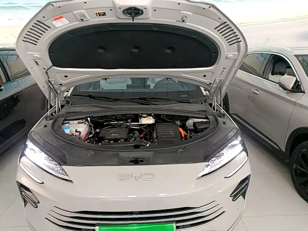 BYD PLUS New Energy — миниатюра 20