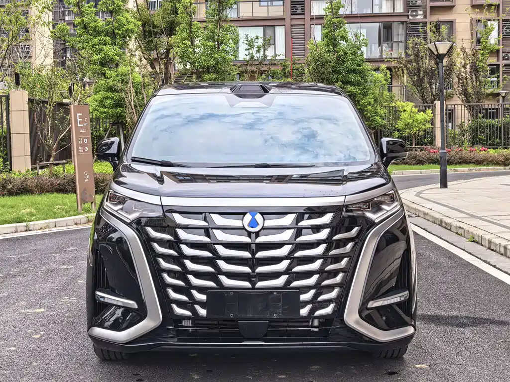 Denza Denza D9 — миниатюра 2