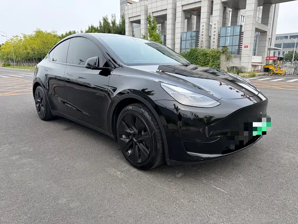 Tesla Model Y — миниатюра 5