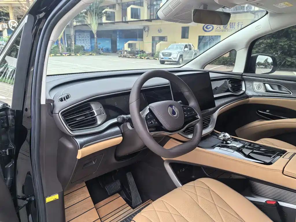 Denza Denza D9 — миниатюра 13