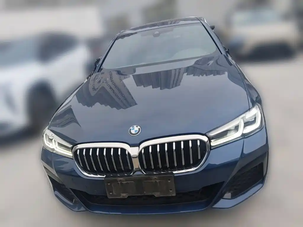 BMW 5 Series — миниатюра 5