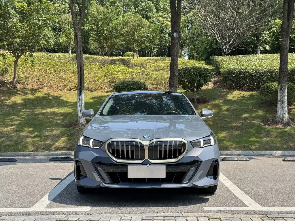 BMW 5 Series — миниатюра 3