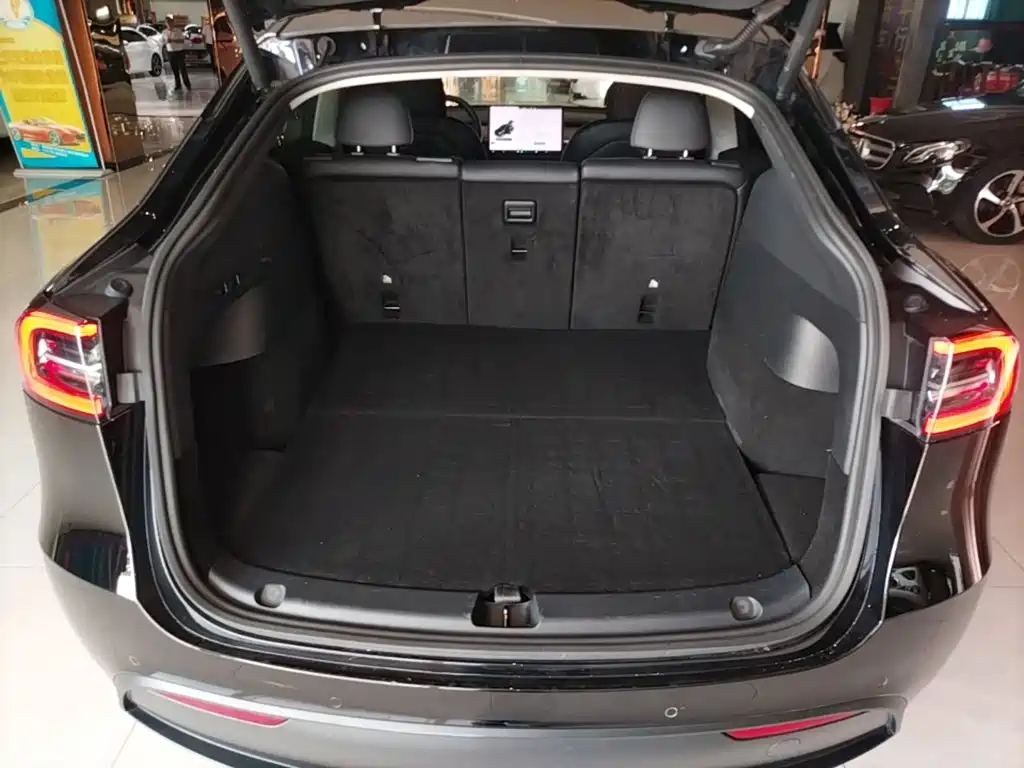 Tesla Model Y — миниатюра 19