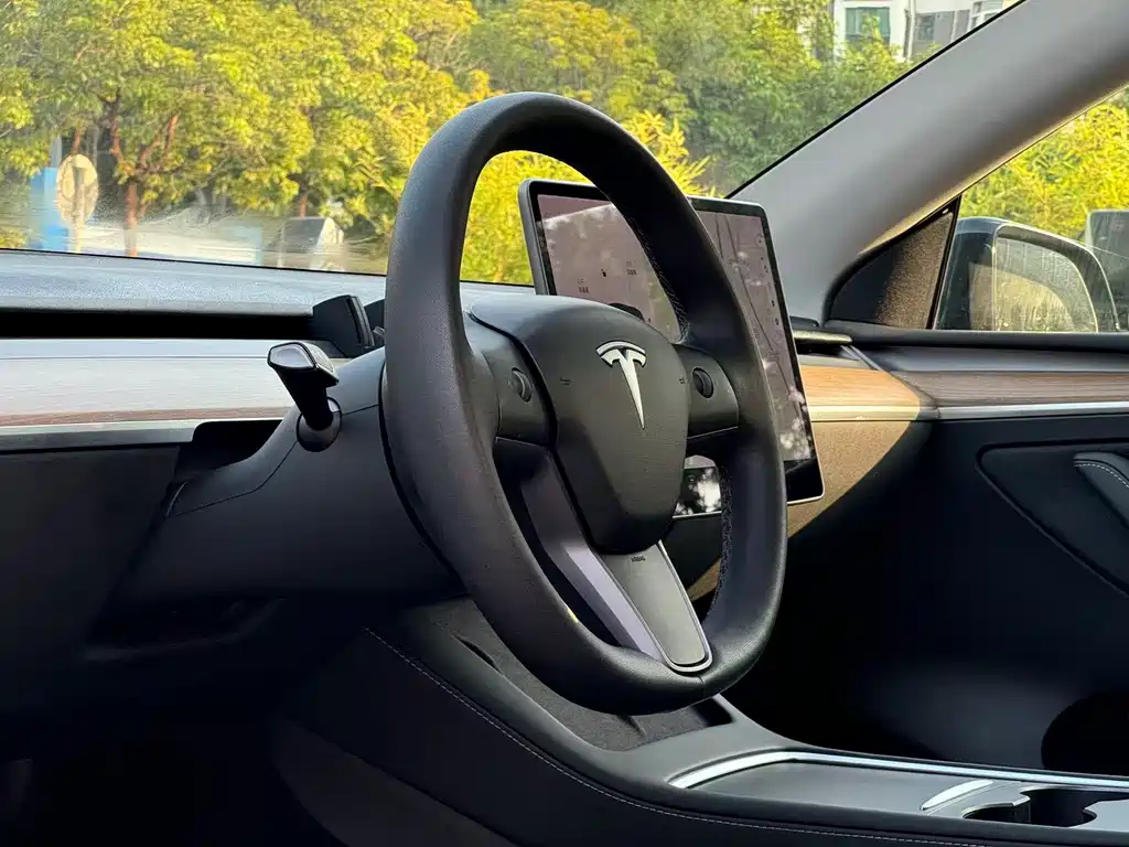 Tesla Model Y — миниатюра 10