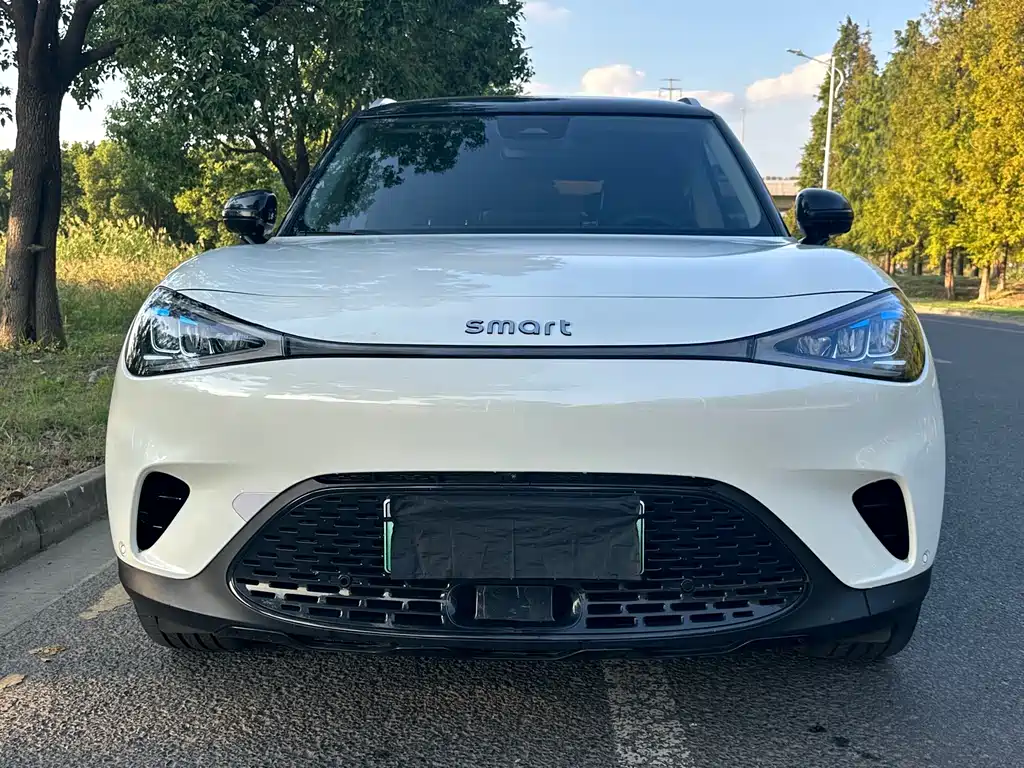 smart Smart #1 — миниатюра 2