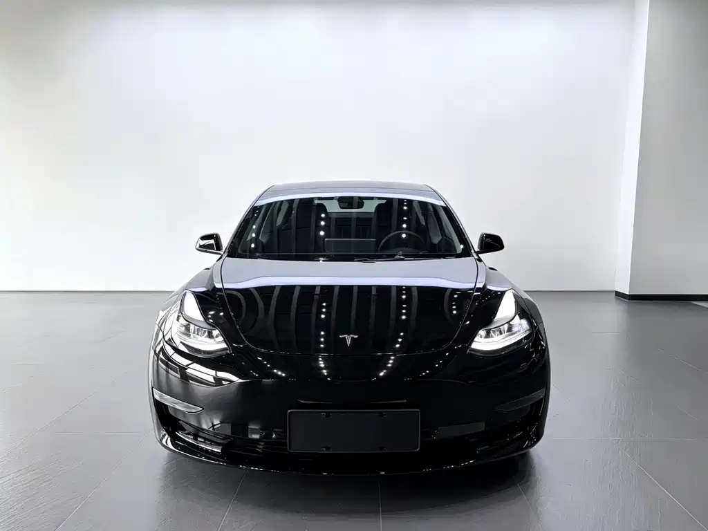 Tesla Model 3 — миниатюра 2