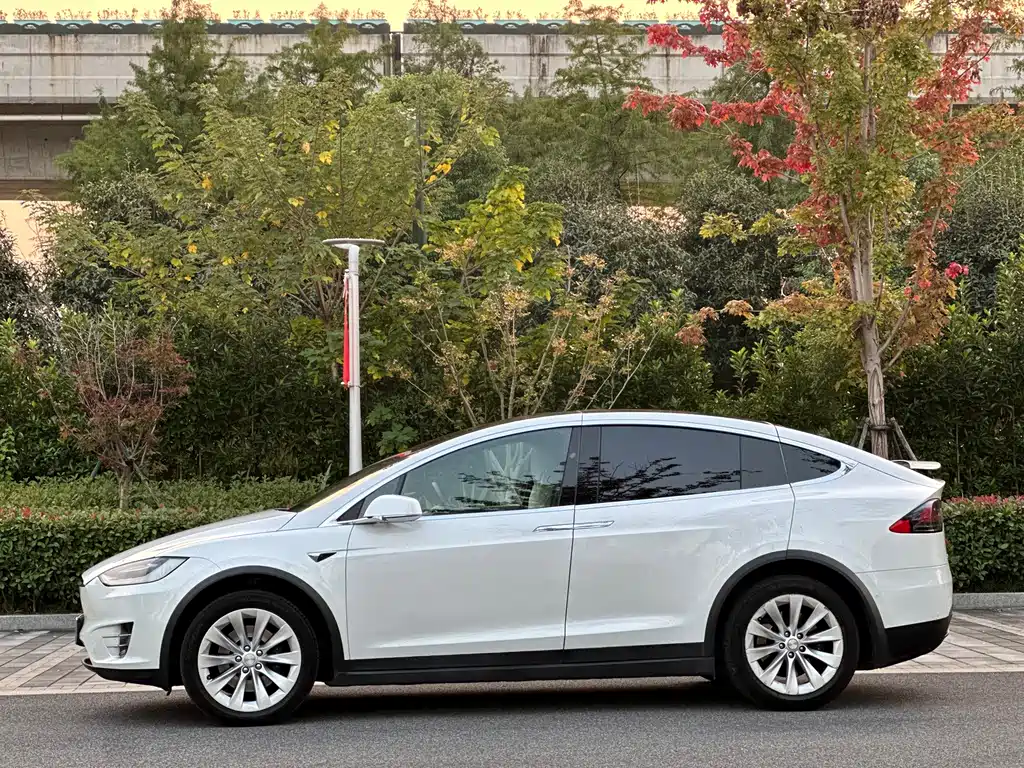Tesla Model X — миниатюра 7
