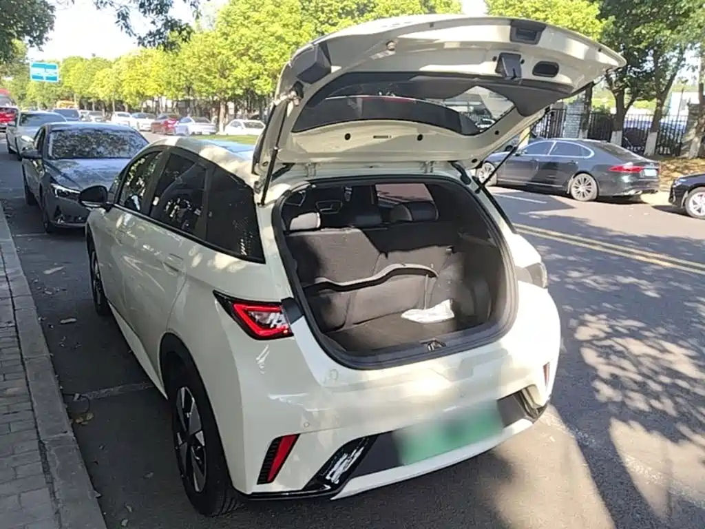 BYD Dolphin — миниатюра 19