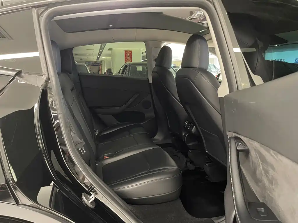 Tesla Model Y — миниатюра 12