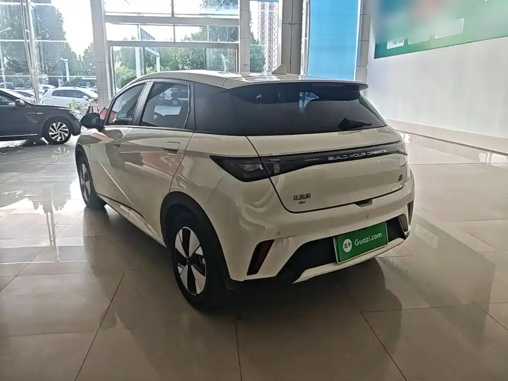 BYD Dolphin — миниатюра 5