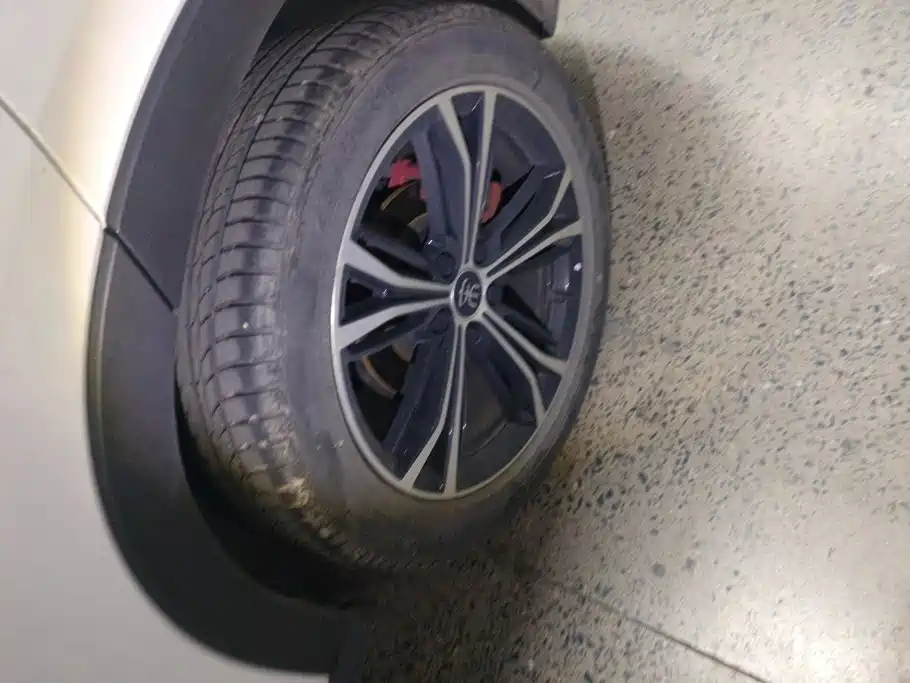 BYD PLUS — миниатюра 6