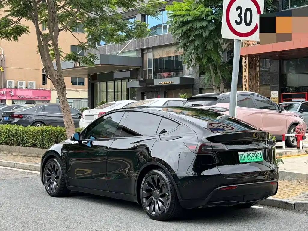 Tesla Model Y — миниатюра 13