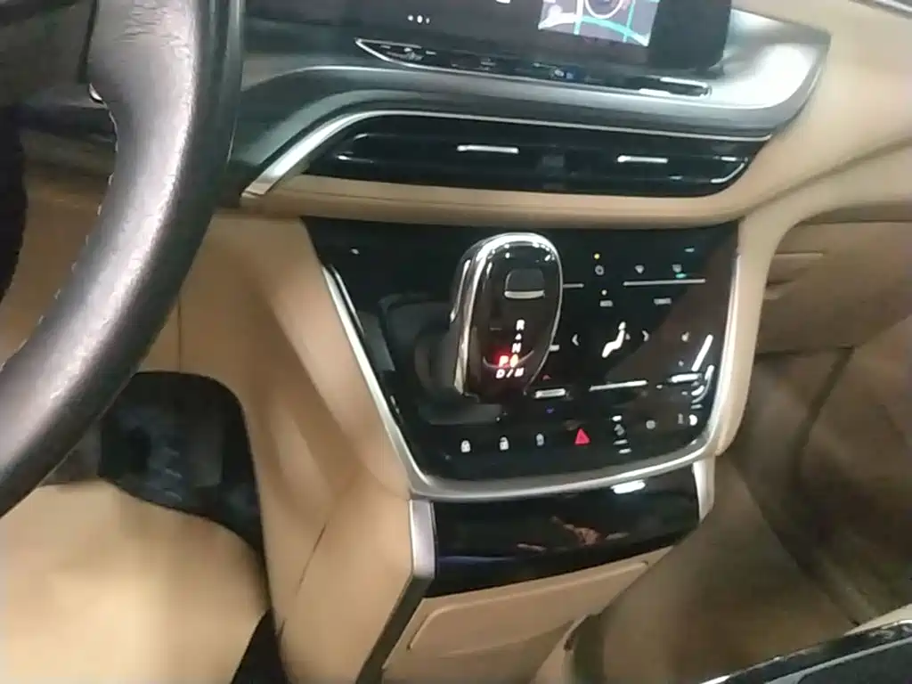Buick GL8 — миниатюра 14