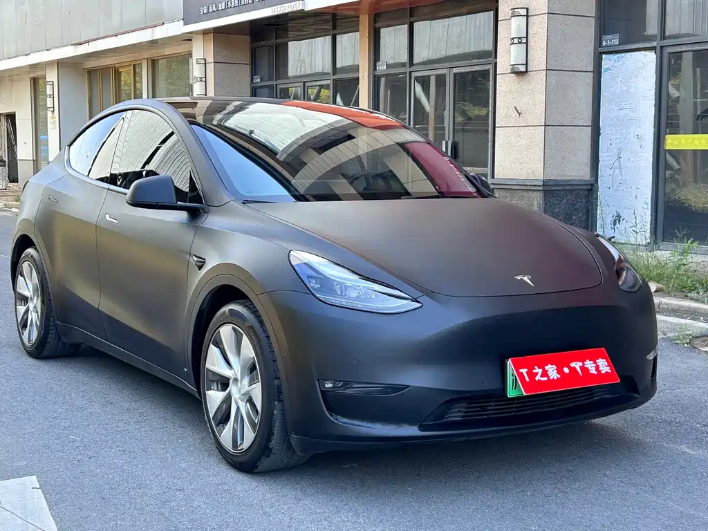 Tesla Model Y — миниатюра 2