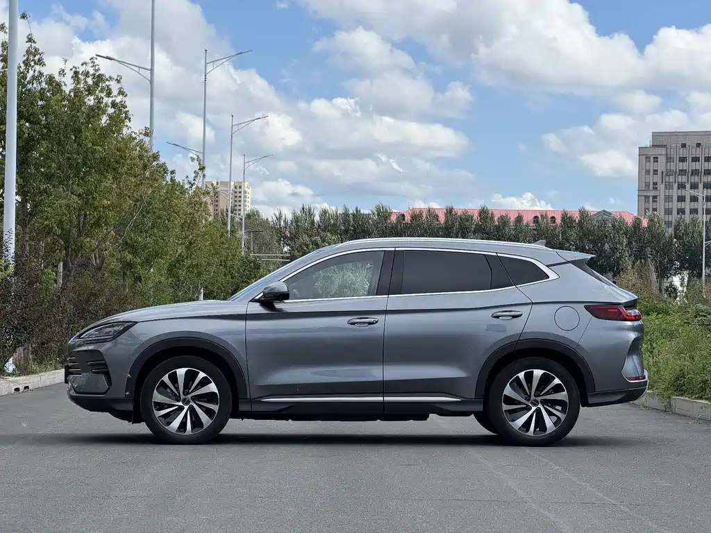 BYD PLUS — миниатюра 7