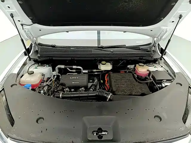 BYD Pro New Energy — миниатюра 17