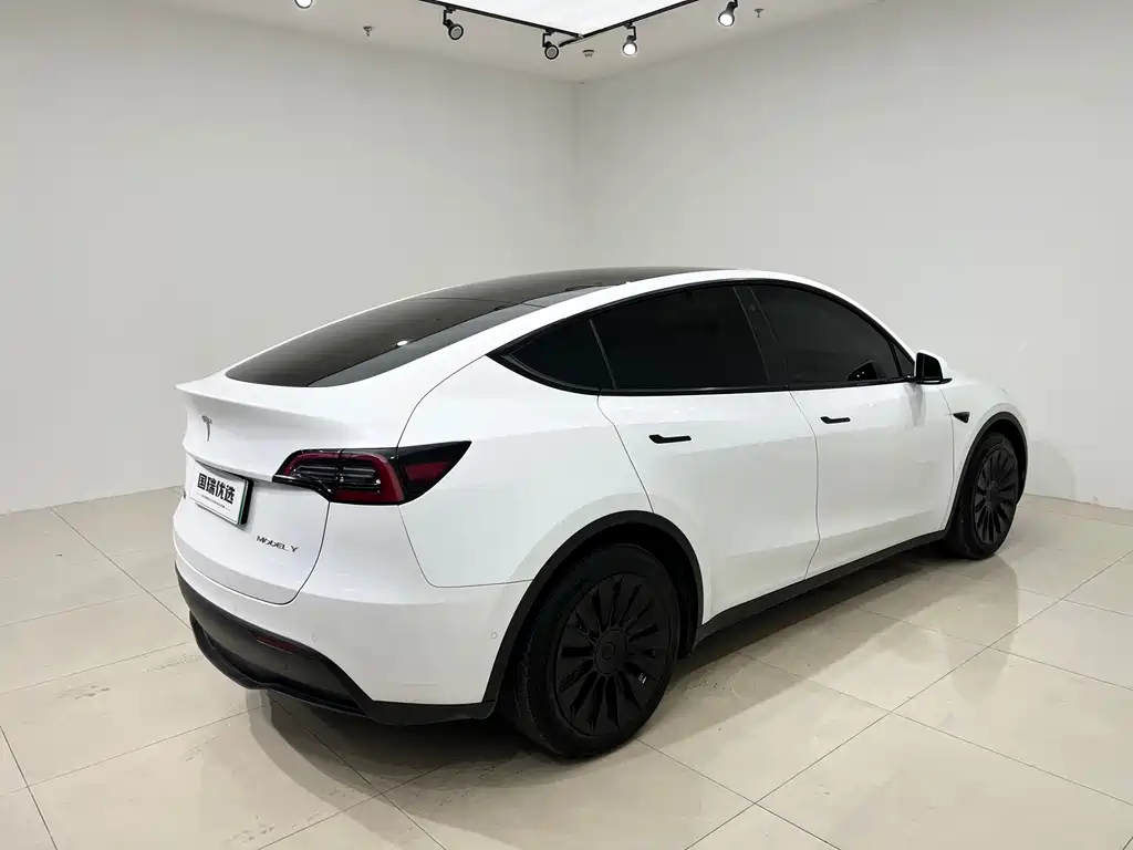 Tesla Model Y — миниатюра 6