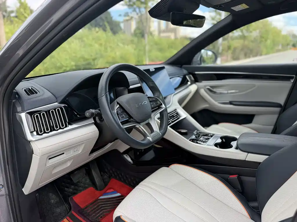 BYD PLUS — миниатюра 25