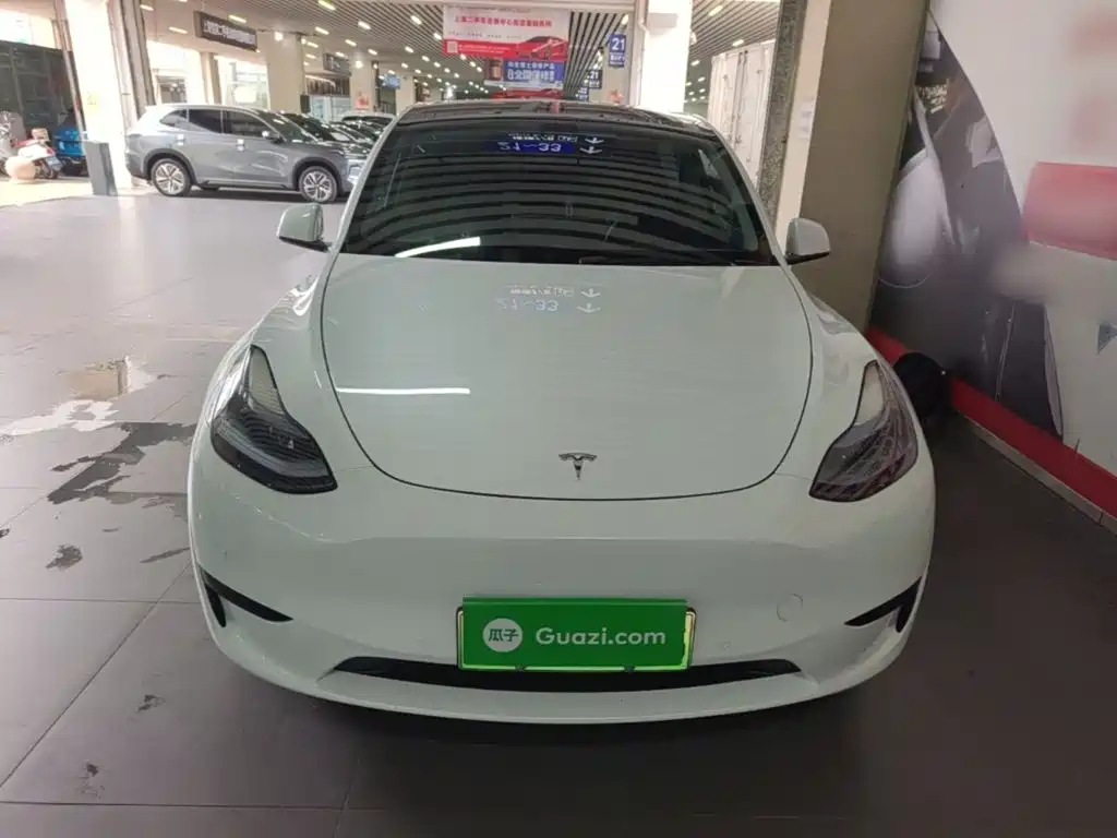 Tesla Model Y — миниатюра 3