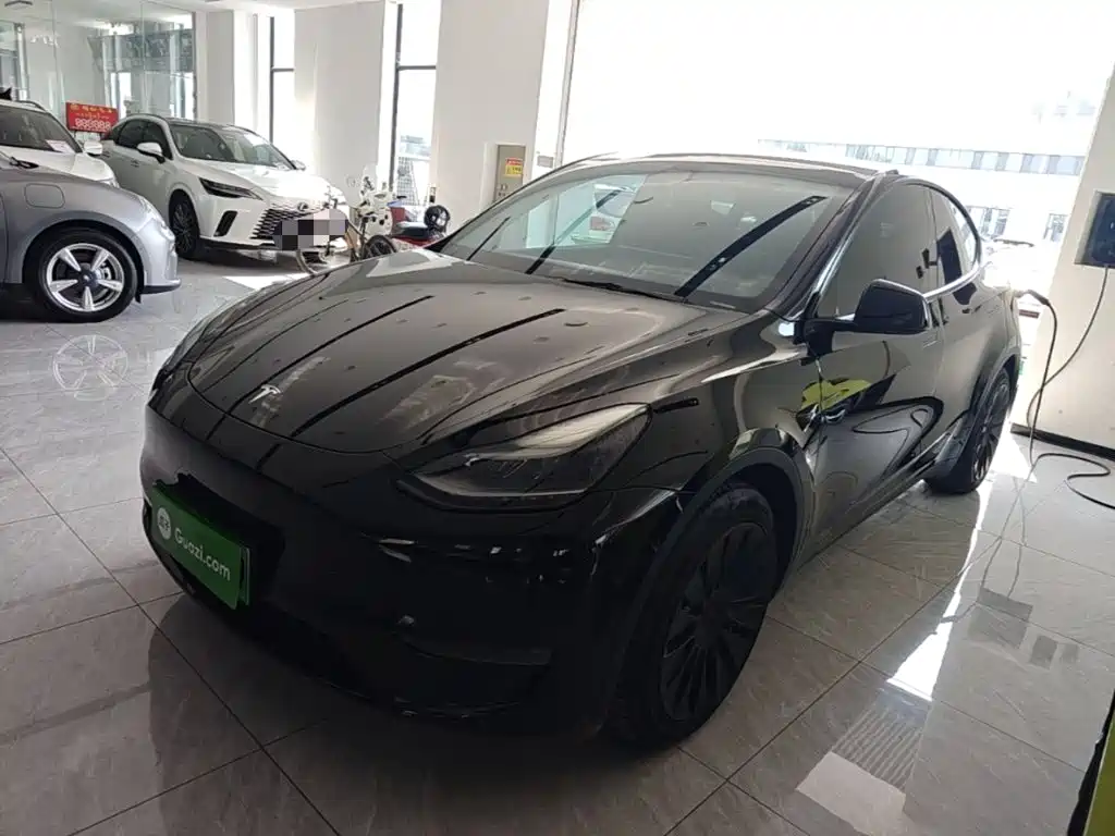 Tesla Model Y — миниатюра 2