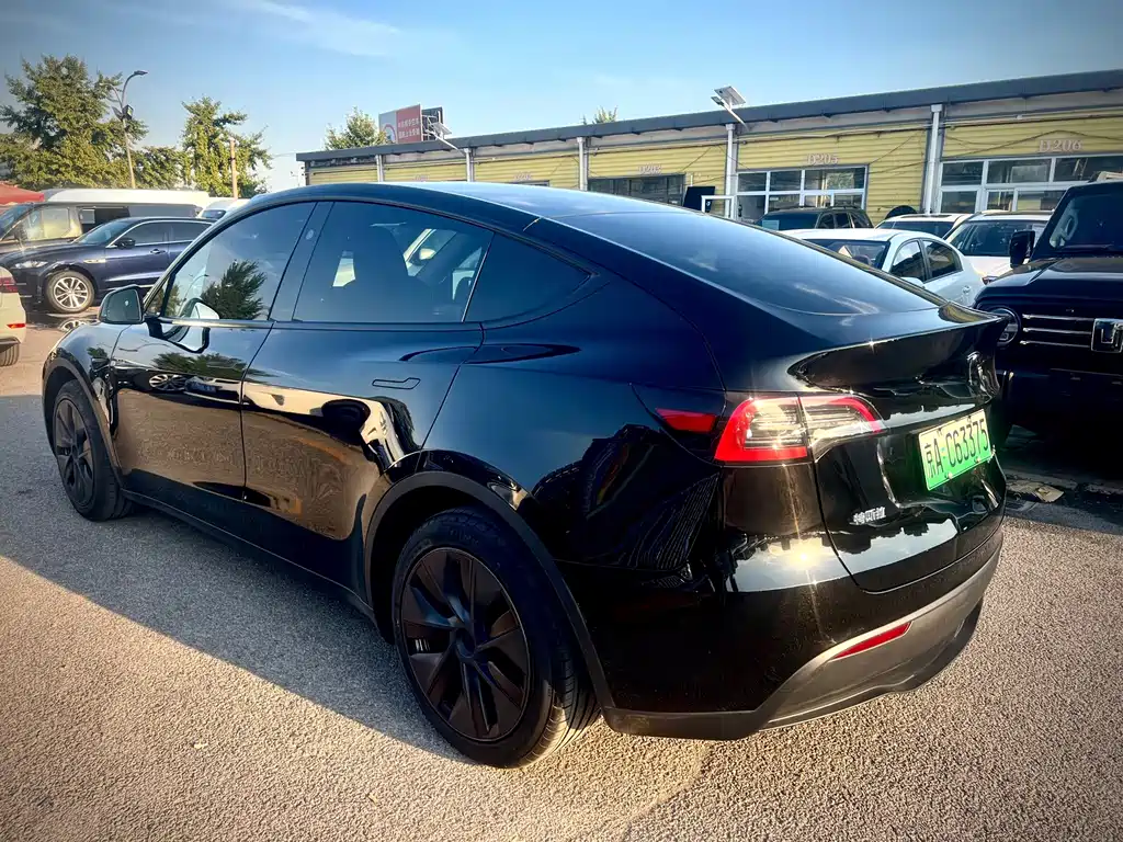 Tesla Model Y — миниатюра 7