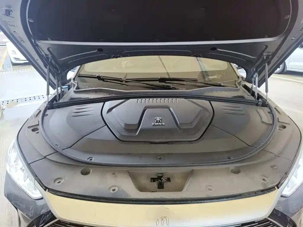 BYD PLUS New Energy — миниатюра 20