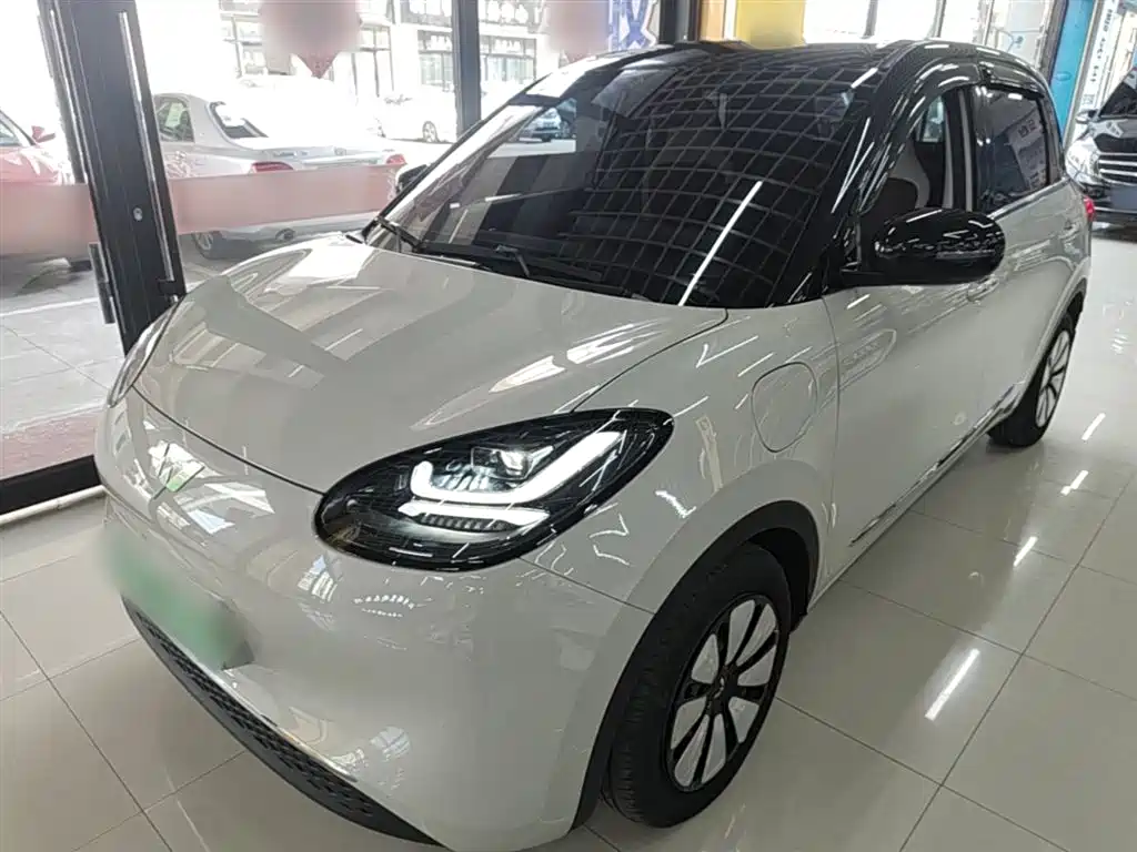 Wuling Bingo 2024