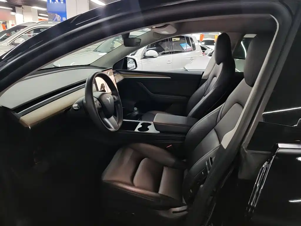 Tesla Model Y — миниатюра 15