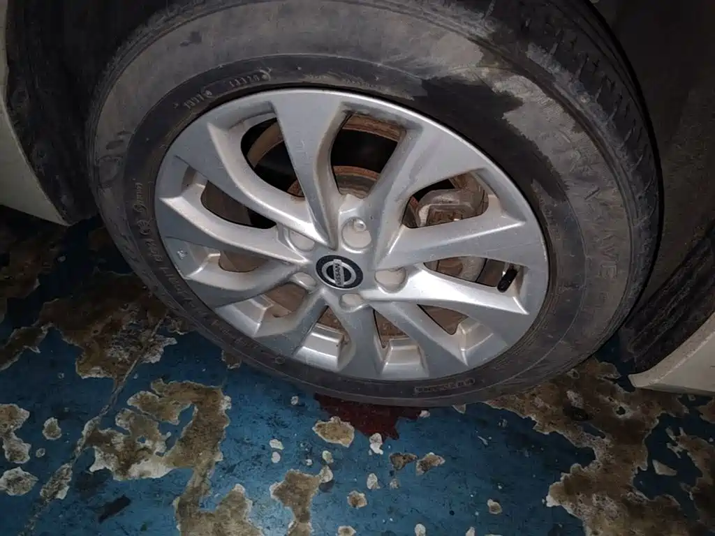 Nissan Sylphy — миниатюра 12