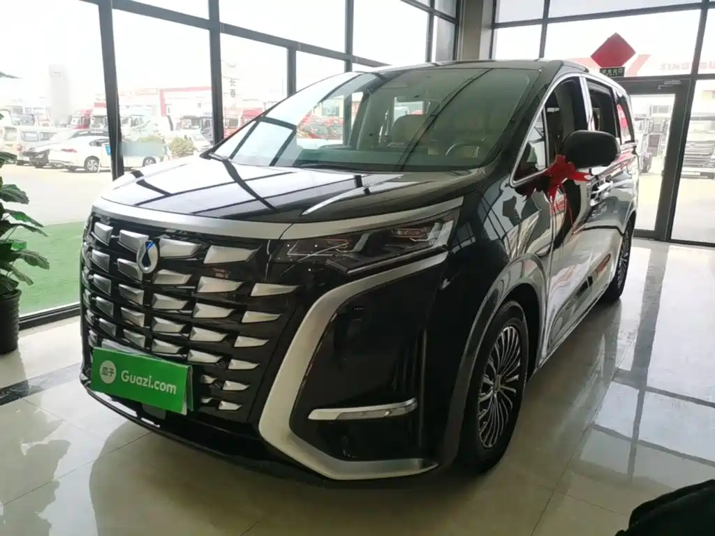 Denza Denza D9 — миниатюра 2