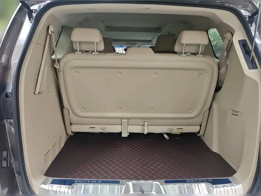 Buick GL8 — миниатюра 10