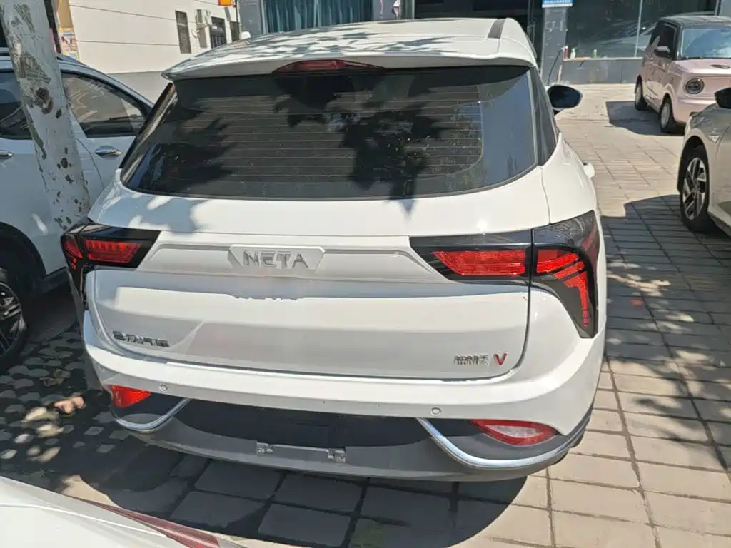 Neta Neta V — миниатюра 6