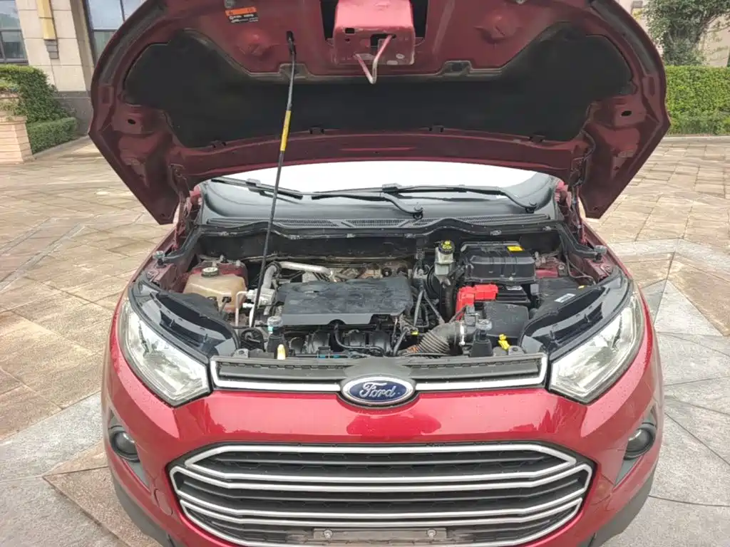 Ford Ecosport — миниатюра 20