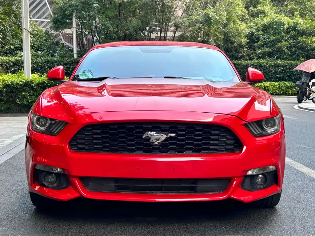 Ford Mustang — миниатюра 2