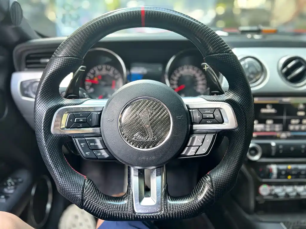 Ford Mustang — миниатюра 11