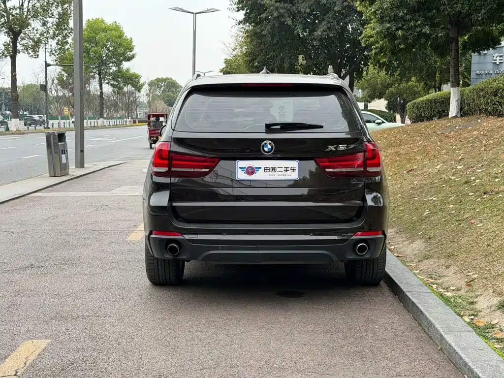 BMW X5 (Import) — миниатюра 5