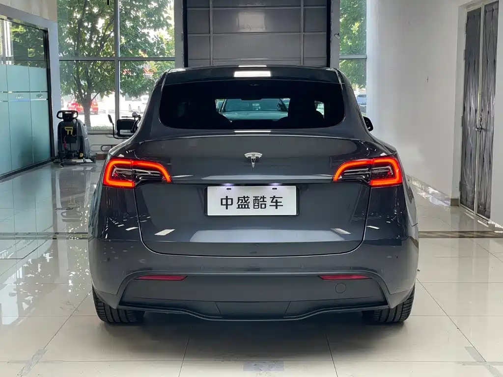 Tesla Model Y — миниатюра 24