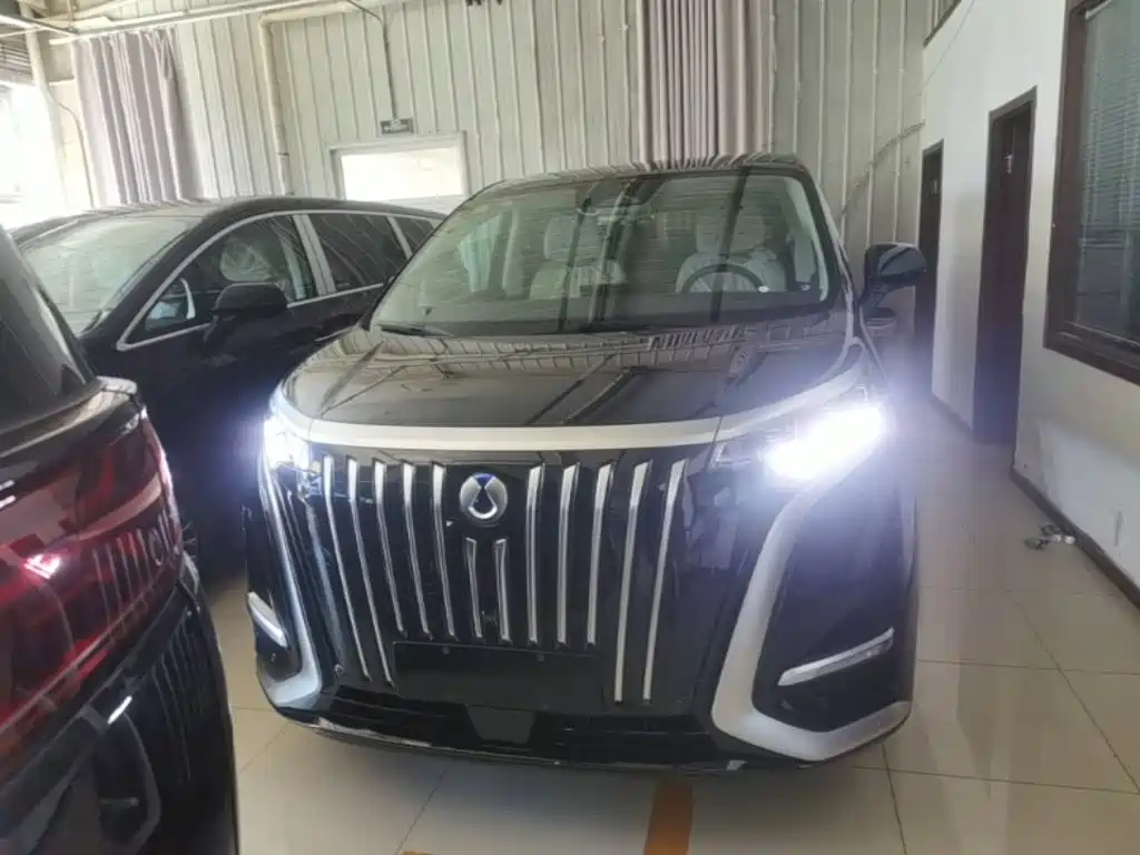 Denza Denza D9 — миниатюра 3
