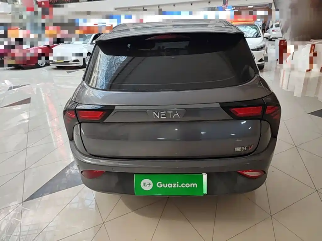 Neta Neta V — миниатюра 6