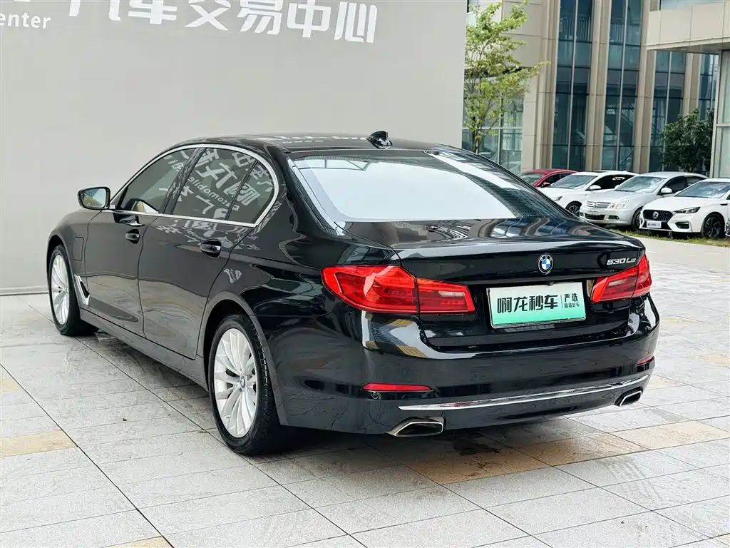 BMW 5 Series New Energy 530Le Luxury Package, фото 16