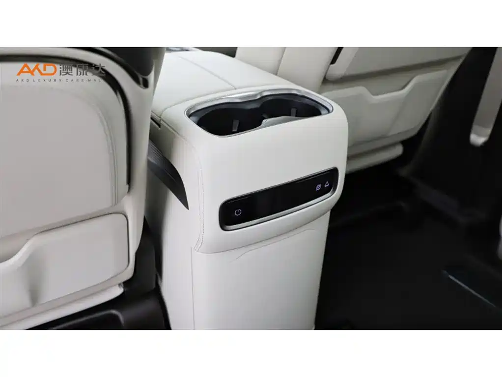 Denza D9 2025 DM-i Smart Drive 1020 Flagship