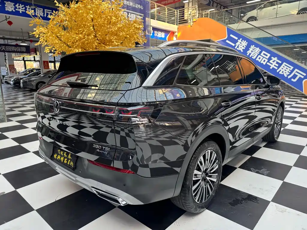 Volkswagen Tavendor — миниатюра 10
